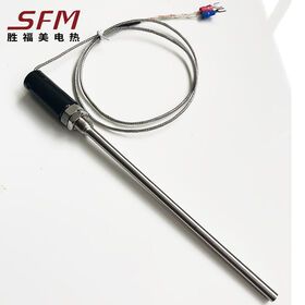 2021 Factory Price Armoured Thermocouple Pvc Fiberglass Two Wire Rtd Industry Temperature Sensor
