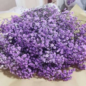 Bulk Wholesale Dried Gypsophila Flower Bouquet Baby Breath Decorative Flower for Wedding Gift Set Craft DIY Making