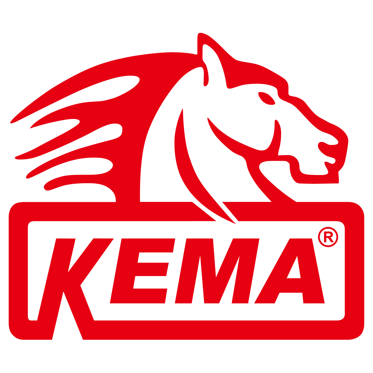 Kema International Limited logo