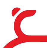 Ningbo Maxyes Sports Co., Ltd. logo