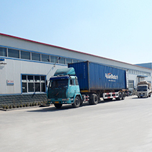 Xingtai Lanying Bicycle Trade Co., Ltd. BMX Bicycle