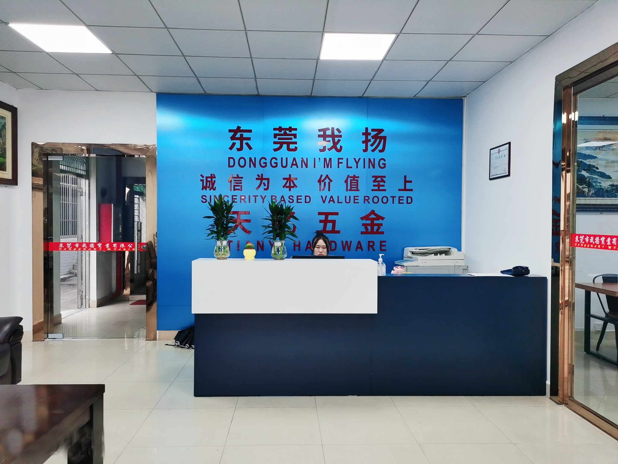 Dongguan I Am Flying Industry Co., Ltd. Travel Neck Pillows