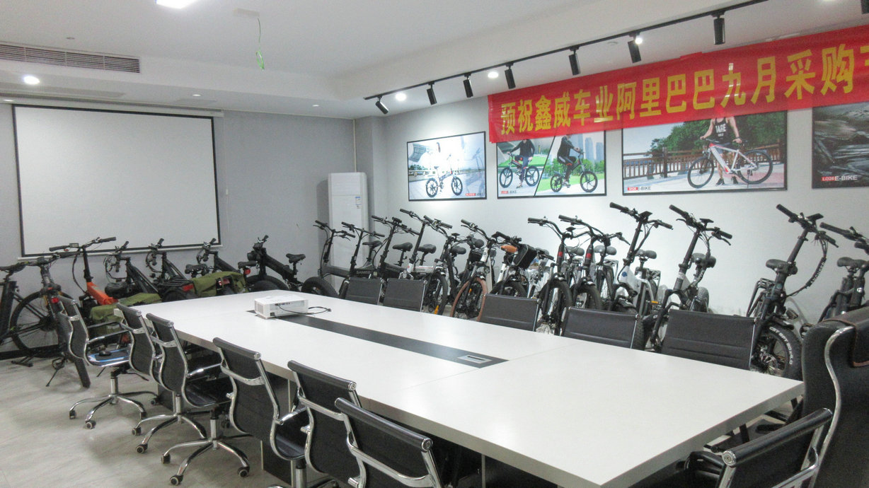Guangzhou Sameway Electric Bicycle Co., Ltd. Electric Bicycle