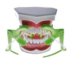 Dental Use Yahong ortho Tongue Guard Orthodontic Cheek Retractor with Dry Field System Tubing
