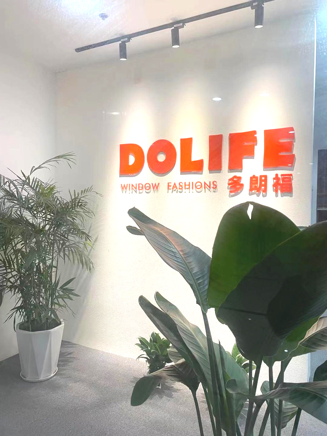 Ningbo Dolife Window Fashions Technology Co., Ltd. motorized interior blinds