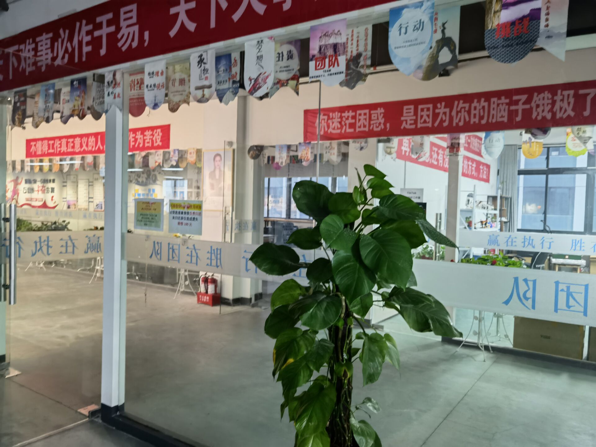 Shaanxi ACTC International Trade Co., Ltd. factory image 4