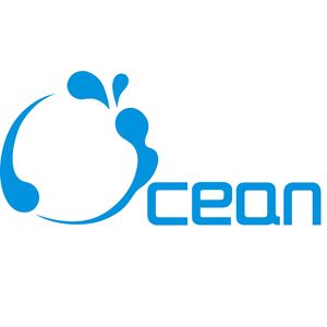 Company icon