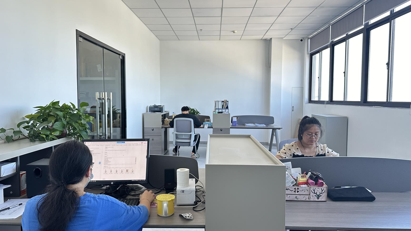 Wuxi Bellter Textile Co., Ltd. Yoga Ball Covers