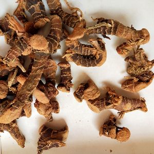 1kg Gao liangjiang Natural wild Dried Galanga racine for spice cooking