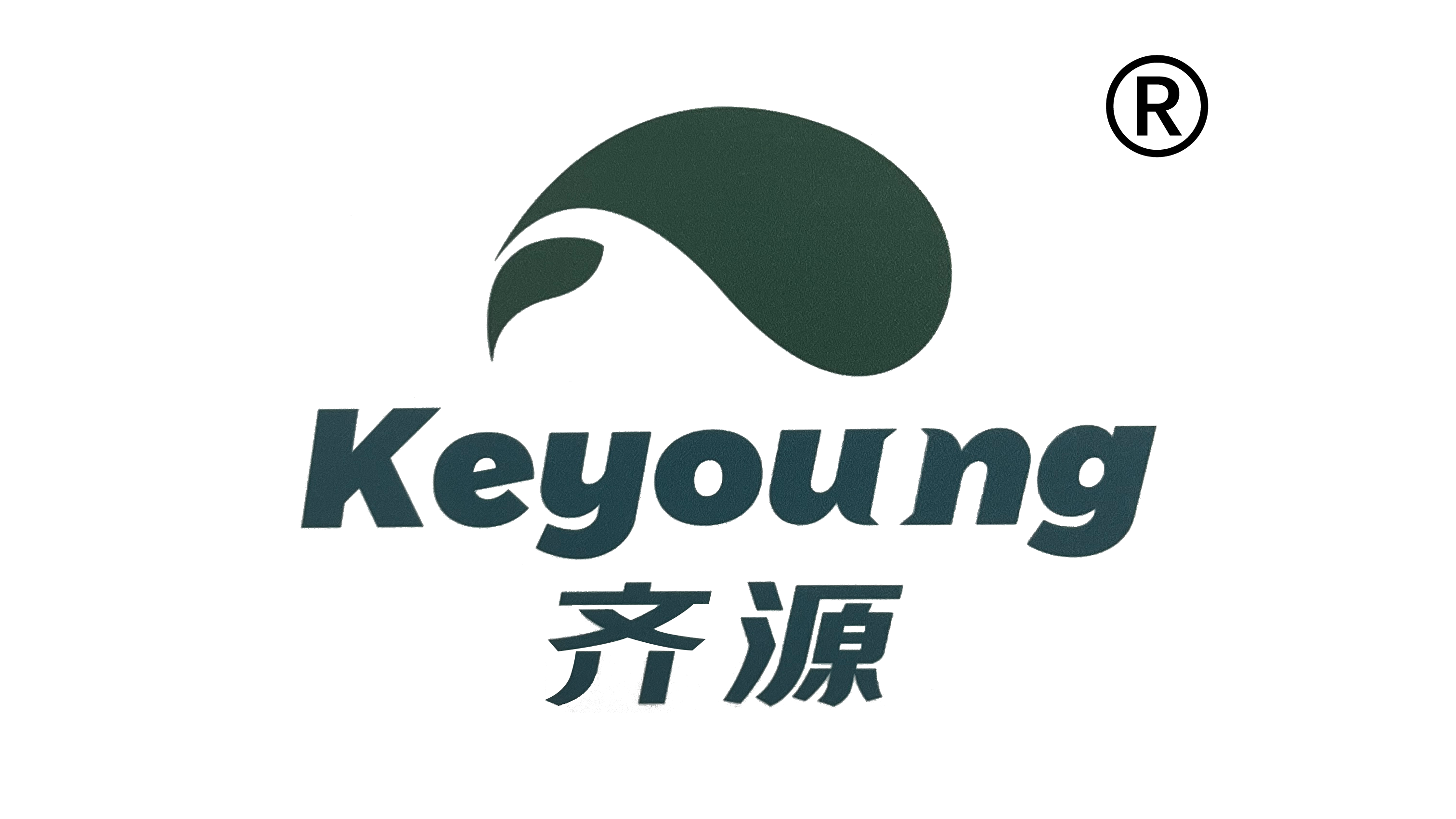 Wuqiao Qiyuan Cellulose Co., Ltd. logo