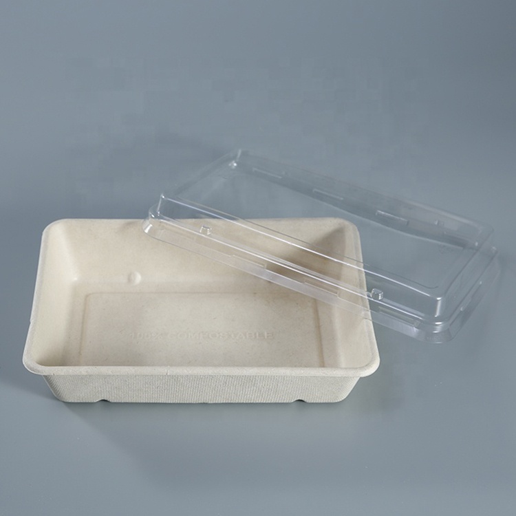 Kingwin Biodegradable Sugarcane Takeaway Take Out Fast Food Packaging Box Food Containers Biodegradable Packaging