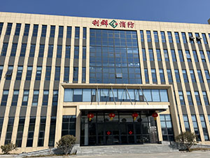 Linyi Waytop New Energy Co., Ltd. Electric Motorcycle