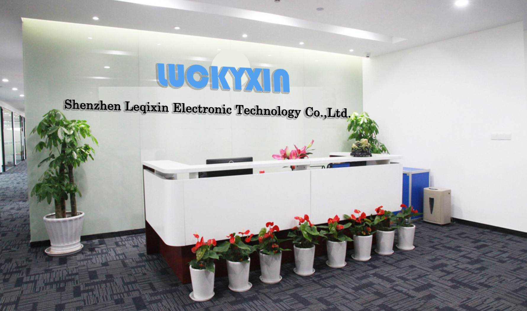 Shenzhen Leleto Electronic Technology Co., Ltd. Educational Toys