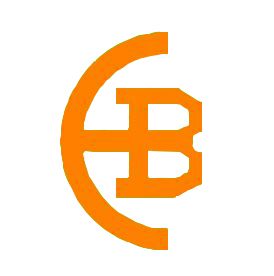 Company icon