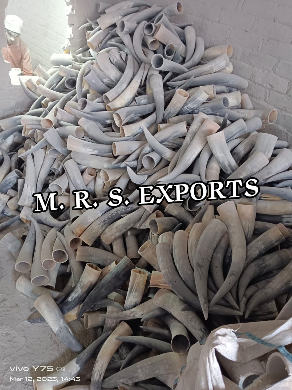 M.R.S. EXPORTS Horn Mugs
