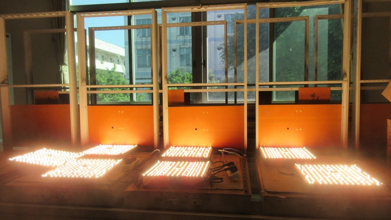 Foshan Sincere Electrical Appliance Co., Ltd. Garden Light