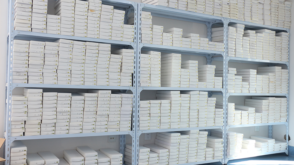 Shanghai Yeli Bio-Tech Co., Ltd. False Eyelashes