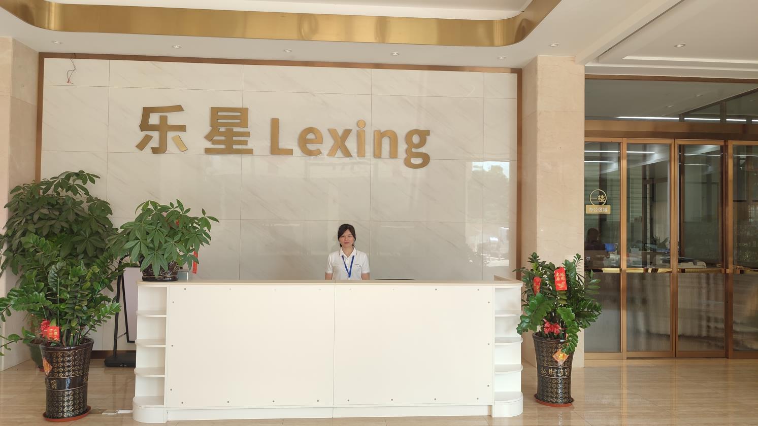 Dongguan Lexing Electronics Co., Ltd. Bluetooth Headphones