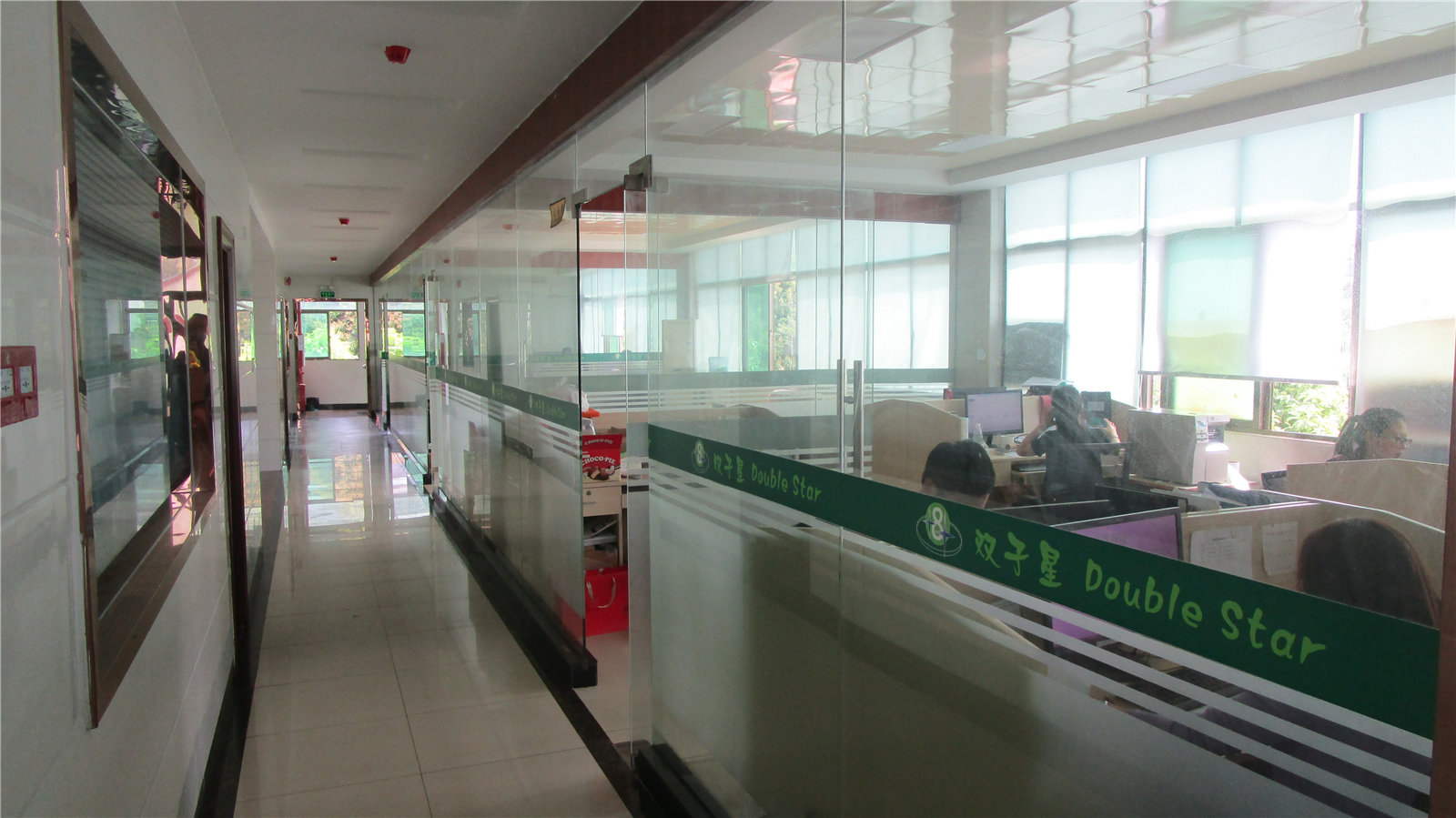 Huizhou Double Star Sports Goods Co., Ltd. Table Tennis Tables
