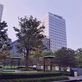 Shanghai Dubay Industrial Co., Ltd. Iron Oxide Pigment