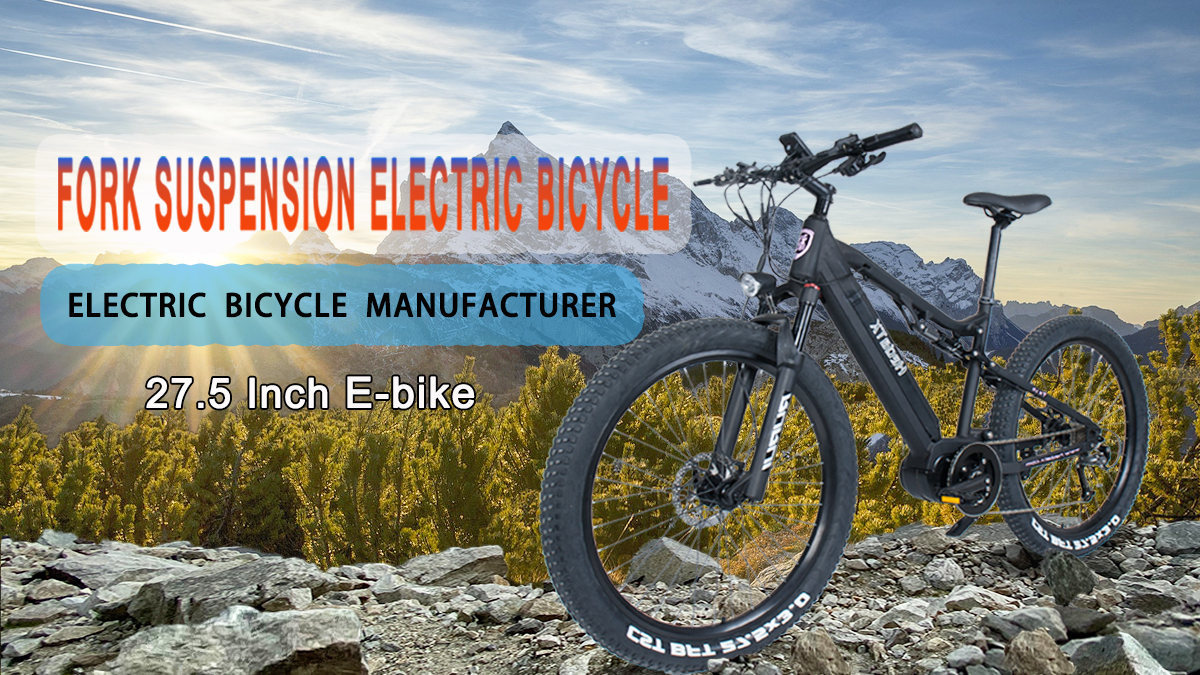 Foshan Guansen Bicycle Technology Co., Ltd. Electric Folding Bikes
