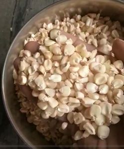 White Maize Premium Quality Corn Product Non Gmo white corn best quality low moisture