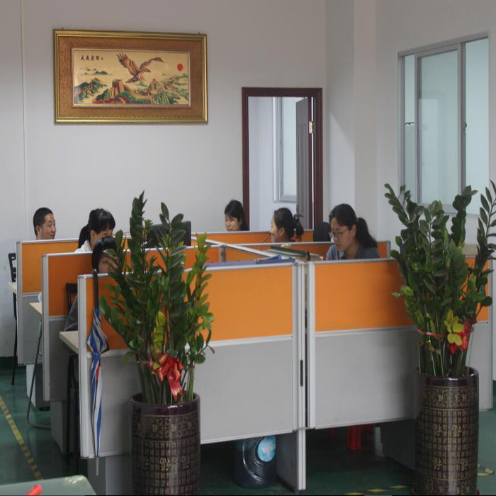 Shenzhen Ealysun Technology Co., Ltd. Projectors