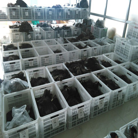 Qingdao Hong Tong Yuan Import & Export Trade Co., Ltd. Men Toupee