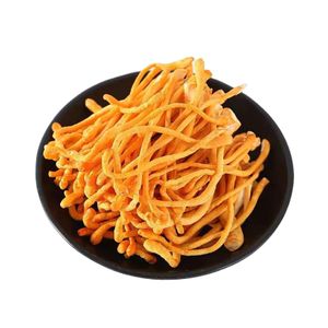 China Cordyceps Militaris with high quality  planted on a factory scale.