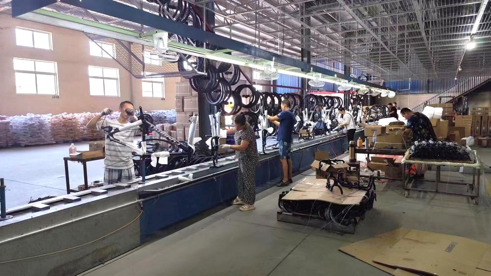 Tianjin Holylion Bicycle Co., Ltd. Tricycles