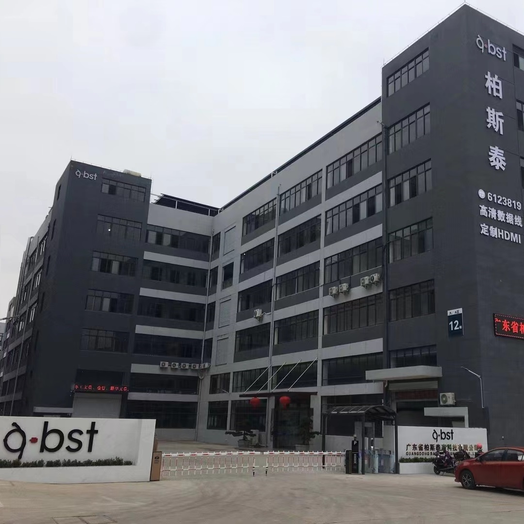 Shenzhen Baisitai Computer Accessories Co., Ltd. Networking Cables