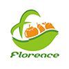 Company icon