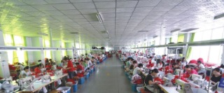 Wenzhou Success Group Co., Ltd. Scarves