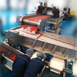 6-1000 tons/day Strawberry Pulp/Puree Processing Machine Production Line SUS304