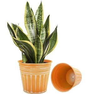 BETTER HOME AND GARDEN ROUND POT GARDEN PLANTER HANDMADE GREENERY DECORATION FLOWER GARDEN VASE PLANTER