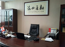 Dongguan Shengnan Trading Co., Ltd. roller skates