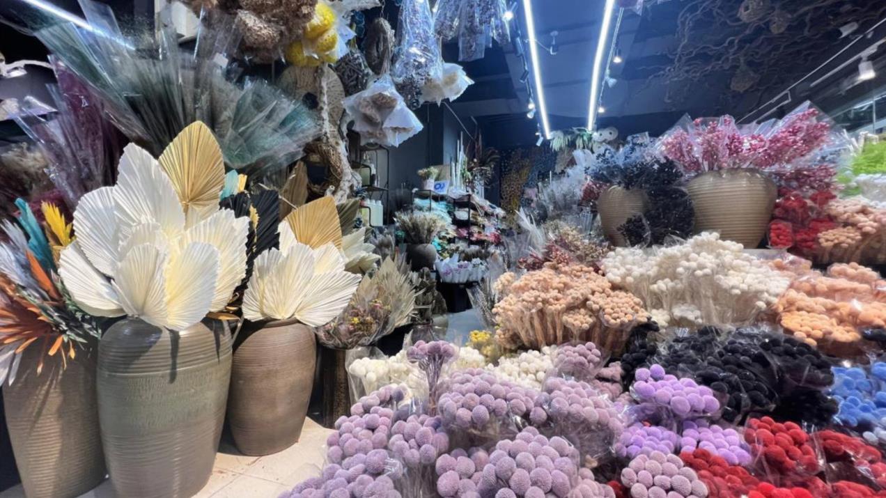 Huiyang (Yunnan) Import and Export Co., Ltd. Pampas Grass