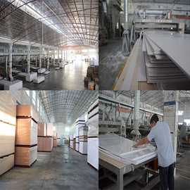 Guangzhou Toyo Advertisement Material Co., Ltd. Self Adhesive Vinyl