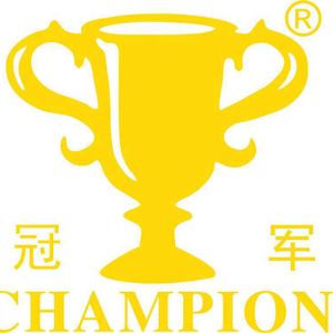 Company icon