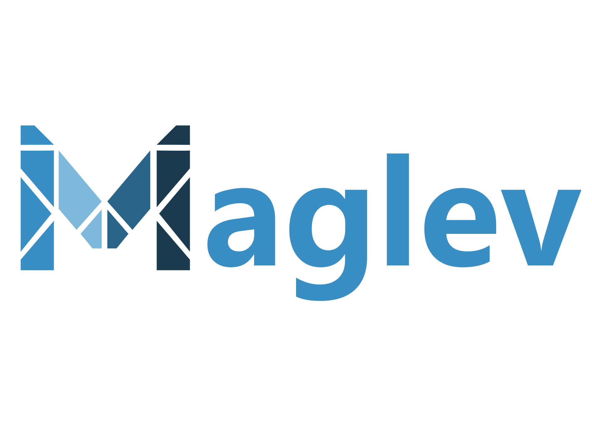 Guangzhou Maglev Plasma Beauty Co., Ltd. logo