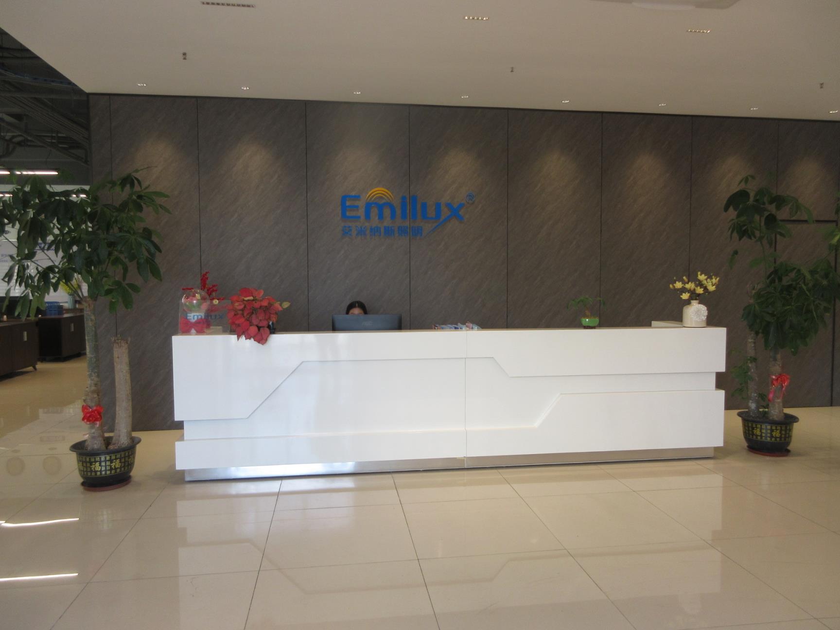 Dongguan Emilux Lighting Technology Co., Ltd. LED Track Lights