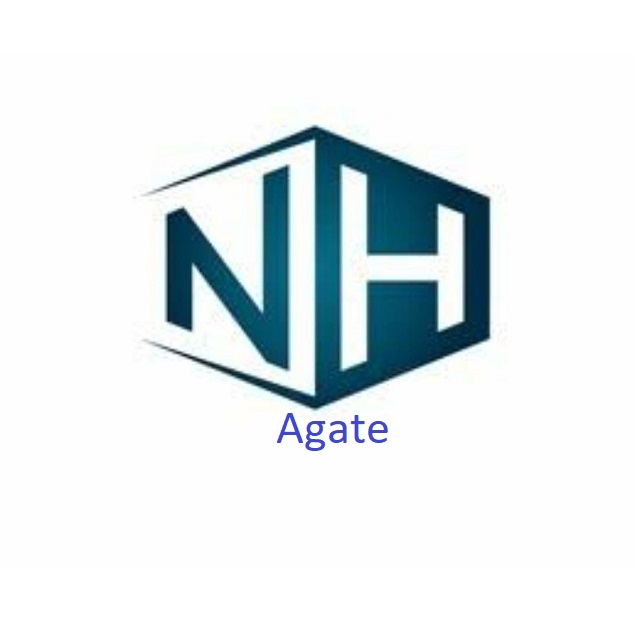 N H AGATE logo