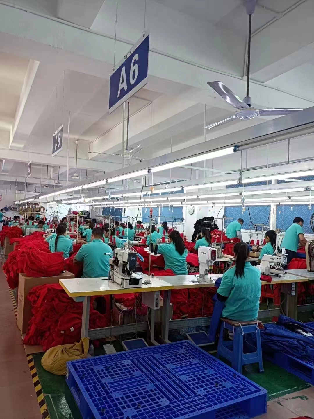 Sunny Baby Trading Co., Ltd. factory image 3