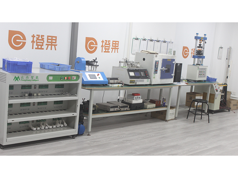 Shenzhen Chengguo Electronics Co., Ltd. factory image 4