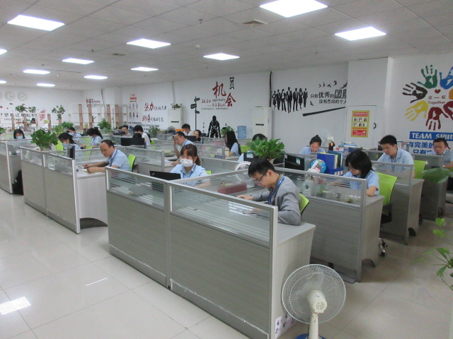 Guangdong Xindun Power Technology Co., Ltd. Pure Sine Wave Inverter