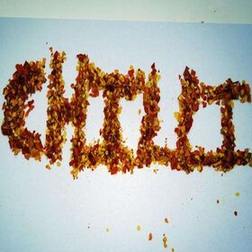Manufacturing OEM Gochugaru Sempio Chilli crushed Specification Red Chili Flakes
