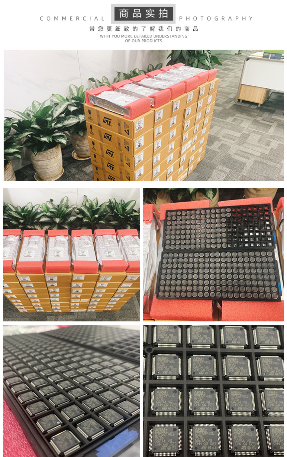 Shenzhen Tengyilong Electronics Co., Ltd. Integrated Circuits
