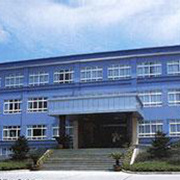 Ningbo Thrive Electronics Manufacturing Co.,Ltd. Plastic Lighters