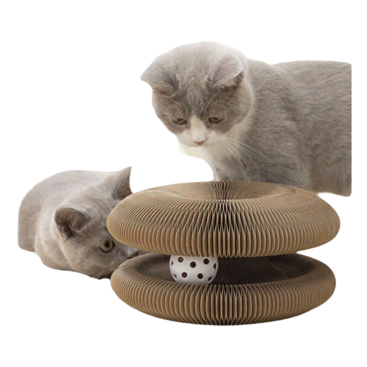 Qingdao Kubo Import And Export Co., Ltd. magnetic variable cat scratching board wear-resistant corrugated paper organ cat scratching board cat claw interactive toy