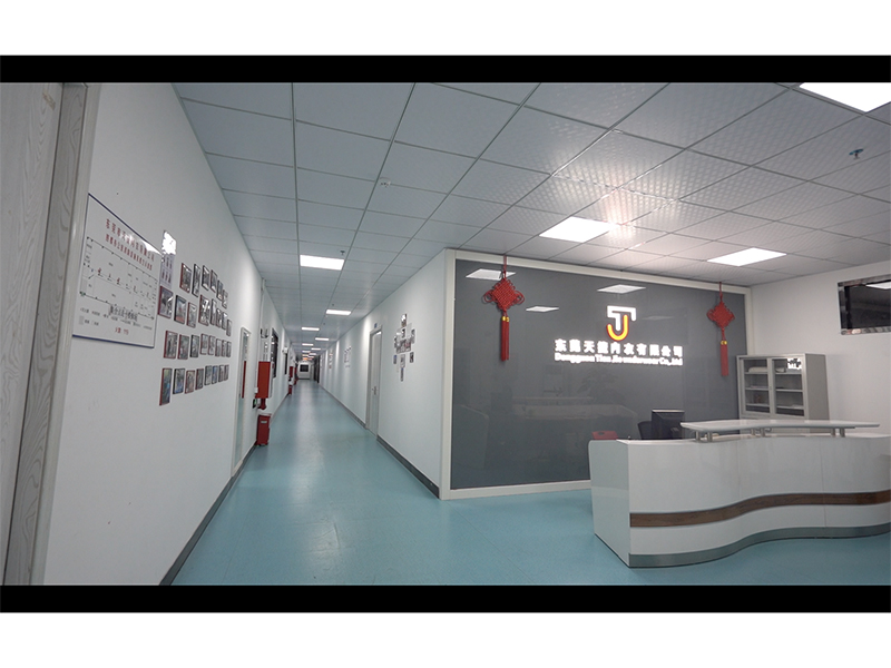 Dongguan Tianjie Underwear Co., Ltd. bikinis